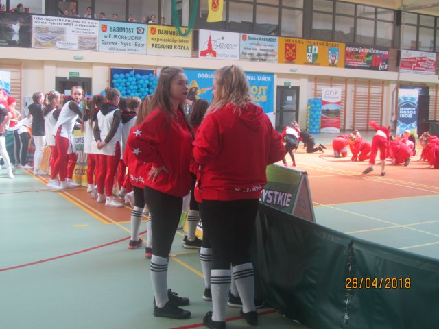 turta 208